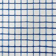 Treillis fibre de verre pour chapes G120 VERTEX 50x1m M40x40