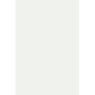 STRATIFIE MAGNETIQUE BLANC BRILLANT 8206L 1X3050X1220MM