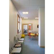 Dalle plafond soft MINERVAL A BD 13125 12mm 60x60cm blanc