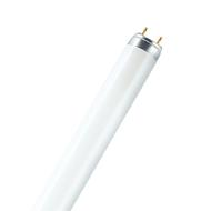Tube fluorescent LUMILUX T8 G13 36W 1200mm 827