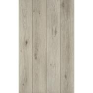 Sol CORETEC NATURALS+ swamp 50 LVPE 859 08x182x1220mm paquet(s) 2,66M²