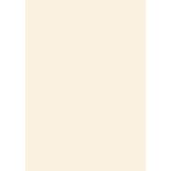 STRATIFIE BLANC CASSE U216 ST9 0,8X3050X1310MM