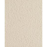 ENDUIT MONOCOUCHE MONOREX GM G10 SAC 25KG