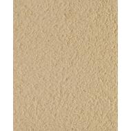 Enduit monocouche MONOREX GM J20 sac 25Kg