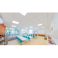 Dalle plafond ADVANTAGE E BF T15 37451952 15mm 60x60cm