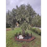 Piquet H100cm 8/8 cm non calibré