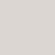 FAIENCE GRIS 100 LISSE BRILLANT PATE BLANCHE 15X15CM EP.5,5MM