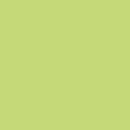 FAIENCE VERT PISTACHE 290 LISSE BRILLANT PATE BLANCHE 20X20CM EP.6,5MM