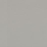 Panneau mélaminé Gris argent brossé F765 ST20 19x2800x2070mm