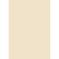 PANNEAU MELAMINE BEIGE CARAT U115 ST9 19X2800X2070MM