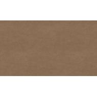 Stratifié Cobra bronze F323 ST20 0,8x3050x1310mm