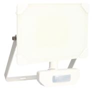 PROJ KREON+DET 50W 6750LM BLC