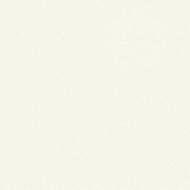 PANNEAU PARTICULES MELAMINES BLANC FRONT U501 PE 08X2800X2070MM