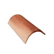 FAITIERE ARETIER 42 RECOUVREMENT SILVACANE LITTORAL