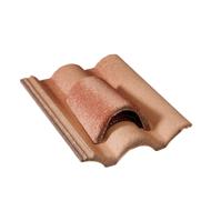 TUILE CHATIERE GRILLAGEE PLEIN CIEL SILVACANE LITTORAL