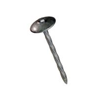 Pointe torsadée tête parapluie Ø4x80mm boite 100