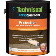 Protecteur CE+ pour dalles et pavés aspect mouillé pot 3,78L