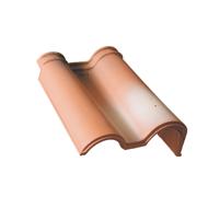 RIVE DROITE ROMANE SILVACANE LITTORAL Réf 10037265