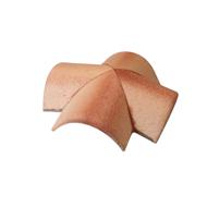 RENCONTRE 4 VOIES SILVACANE LITTORAL EVOLUTION