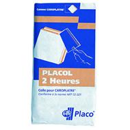 Colle pour carreaux de plâtre 2heure(s) PLACOL sac 25kg
